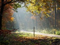 Herbst 2015